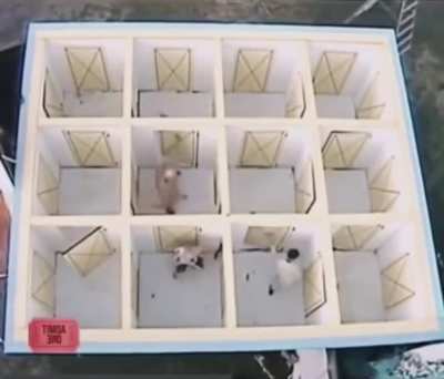 Maybe Maybe Maybe