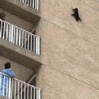 This cat stuck on a building managed to sort itself out. They truly are immortal.