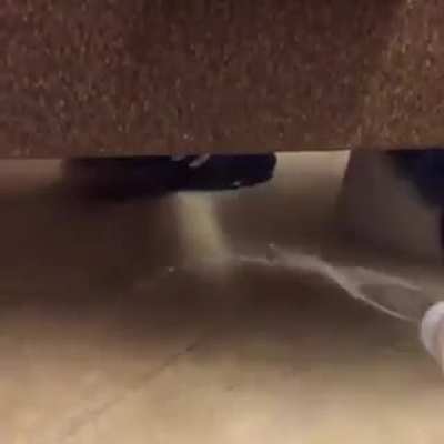 Pranking someone in a public toilet