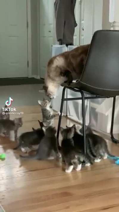 Mom has had enough.