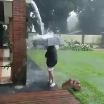 Singin in the rain