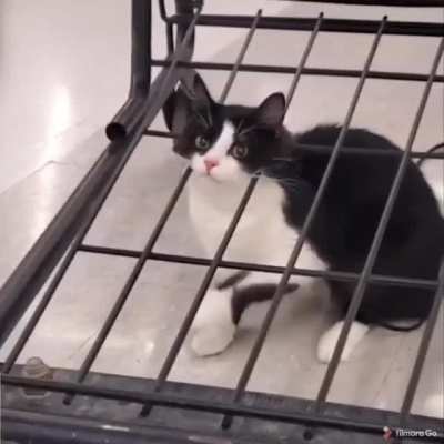 "Oh shit!"