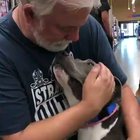 The "Just Adopted" Look Walter The Pup Has.