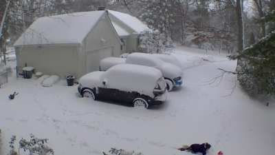 My kids trying to dive in 6inches of snow.