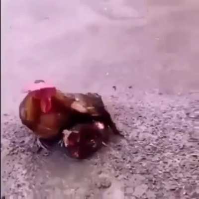 We all want to be comforted