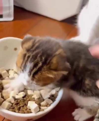 Mine .. no toucha