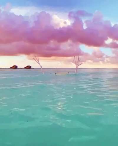 ? This cotton candy sky during the golden hour at Maldives