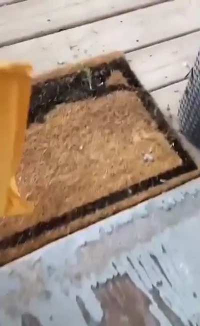 Maybe Maybe Maybe