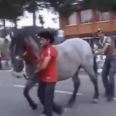 WCGW if i just mess with this horse real quick? ?