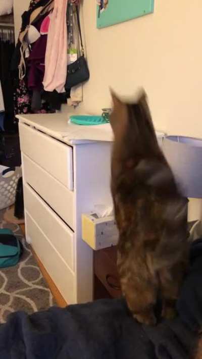 She’s usually pretty good with her jumps.