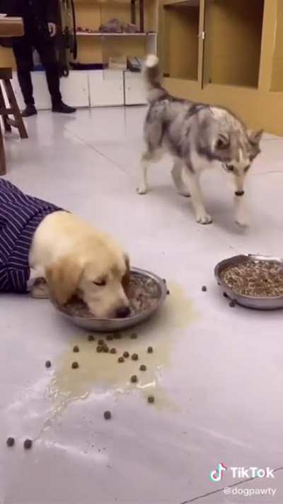 Lunch time