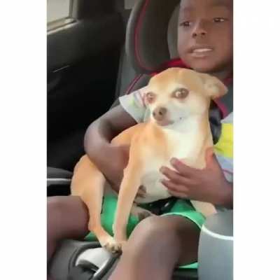 This boy and his dog ?