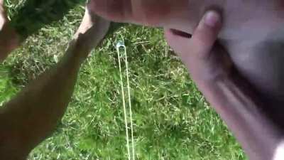 This gotta be the funnies video I've ever seen.