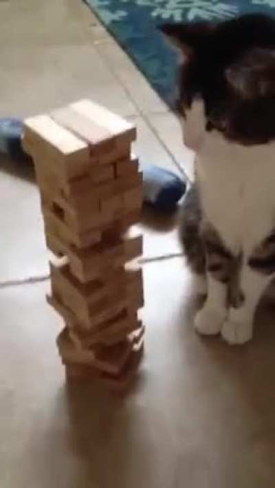 Maybe Maybe Maybe
