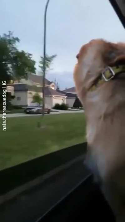 Pain in his eyes!