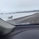 Look at this f****** b********