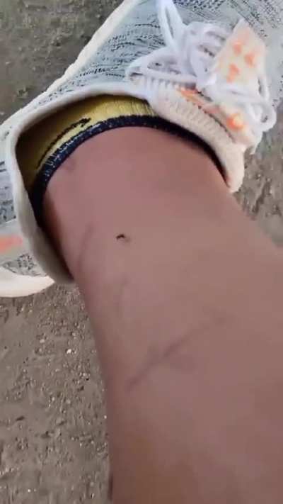 WTF