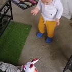 "Dad, how was I born?"