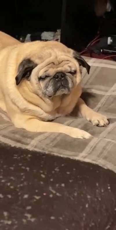 My loaf of bread ran out of battery ☹️?