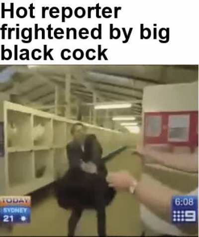 Nigerundayo!!!