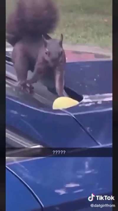 I always laugh so hard at these
