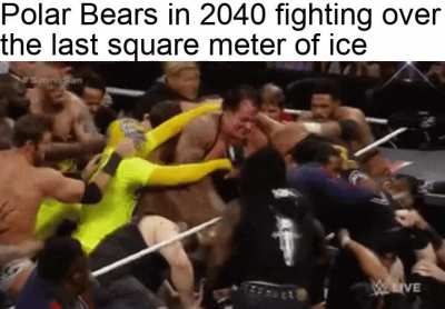 Only one gets to stand on it