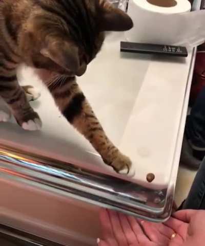 Maybe Maybe Maybe