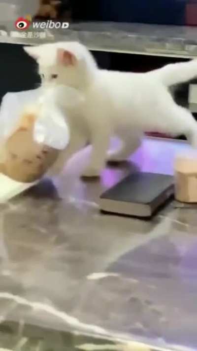 At stealing food