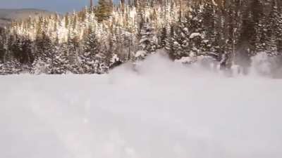 ? Moose running through snow ?