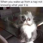 Me this morning ??