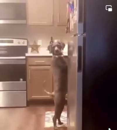 to make a sandwich