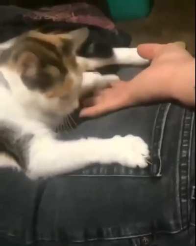 Move Your Butt ???