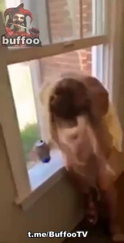 Oh nooooo.... Are you ok? ?
