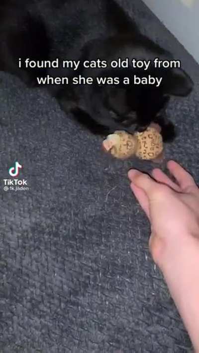 The happiest cat