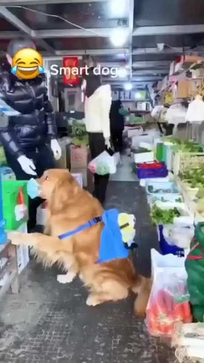 What a smart dog ? ❤️
