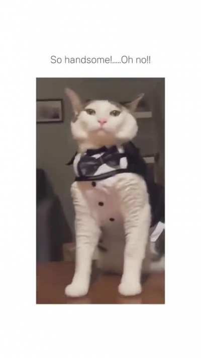wcgw posing for the camera