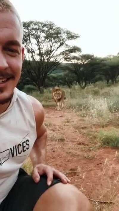 Awww