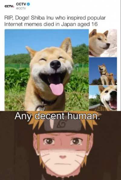 We must mourn our comrade.