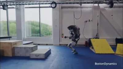 30 years of development at "Boston Dynamics" Robotics company