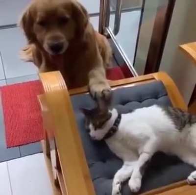 Besties