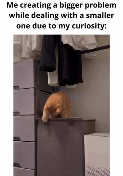 How much curiosity is too much: