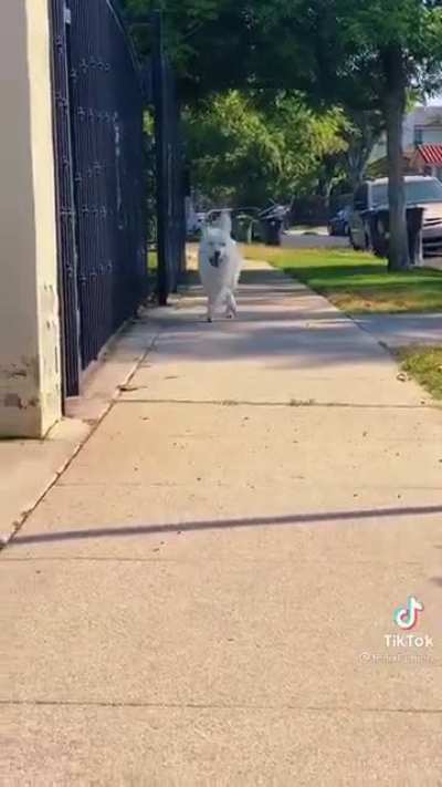 Going outside with style.