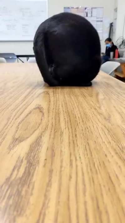 Acrobat as liquid..