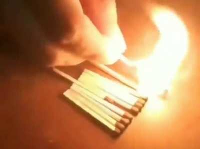 Sometimes you just need to save yourself
