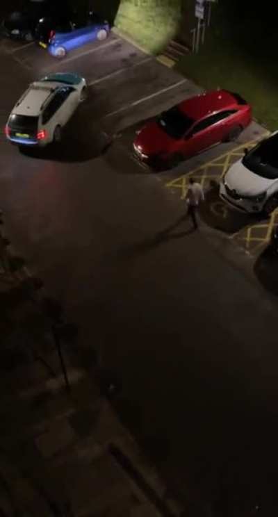 Tried to run away without paying his cab fare but forgot his cat in the backseat ?‍♂️