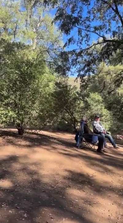 Camp zoomies
