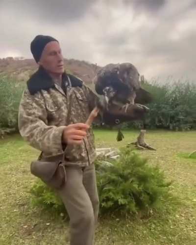 Bone eating bird.