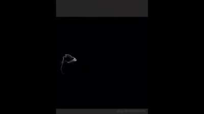 This guy animates paintings like this and it gives the art quite a dramatic effect