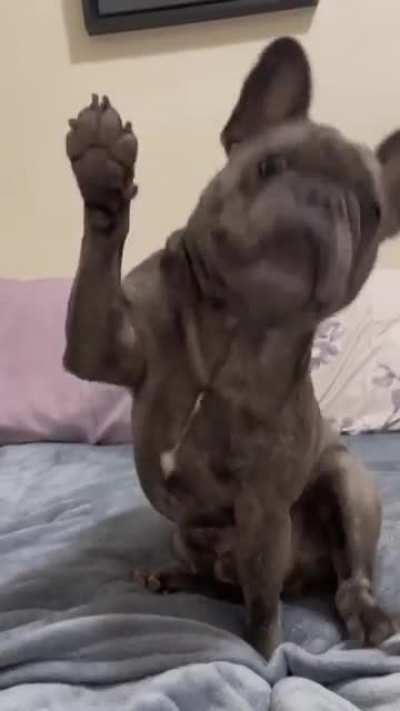 I'm raising it!