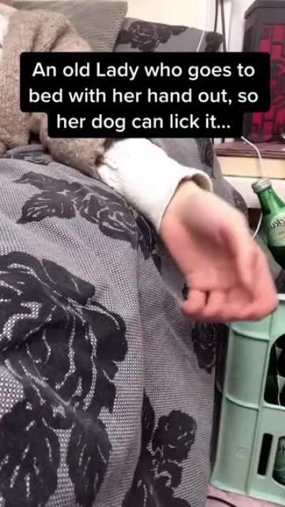The Licked Hand